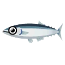 Pacific Saury PC Icon.png