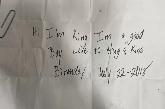 Dog Abandoned with A Note On the Collar at Burger King