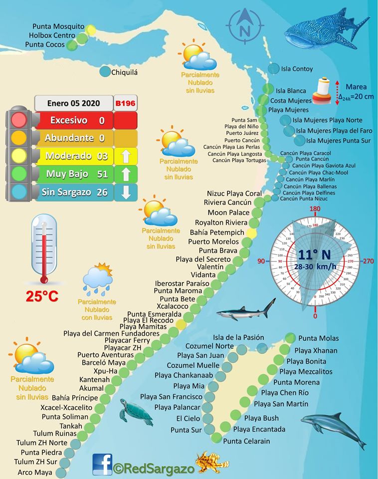 mapa de sargazo en la riviera maya