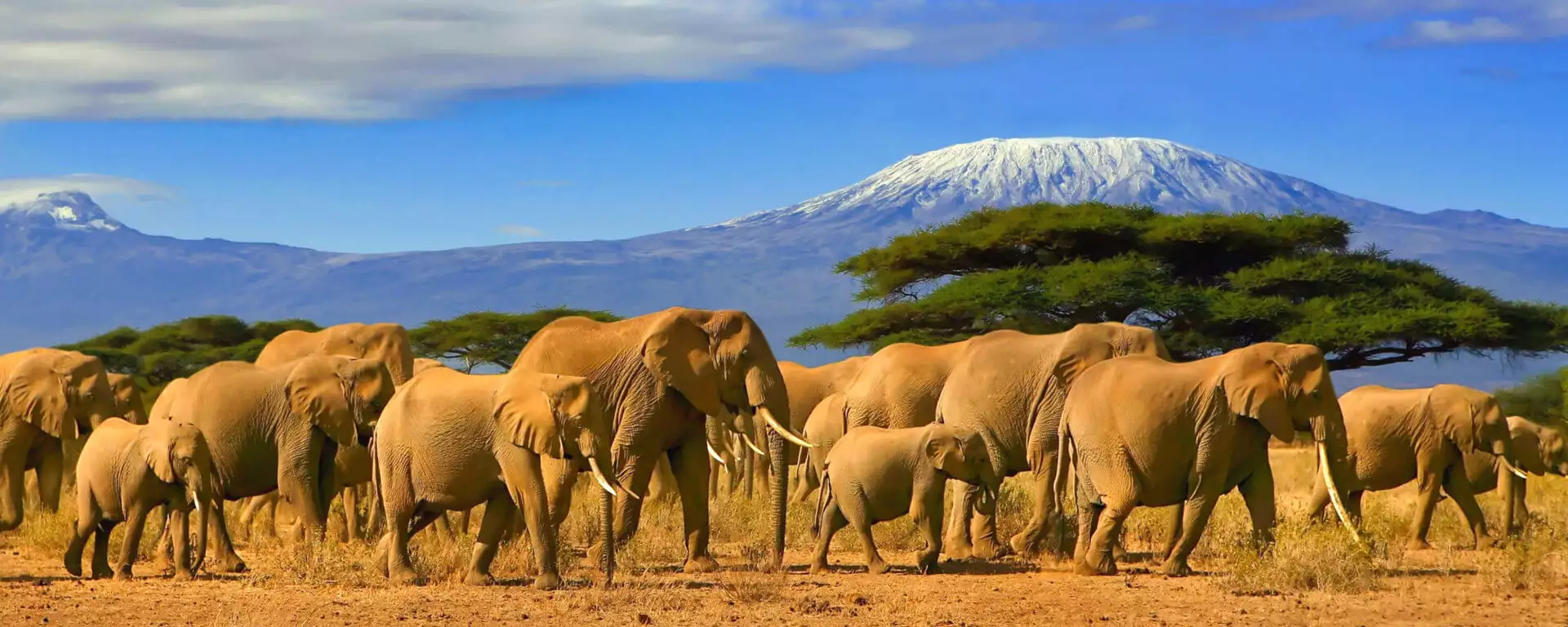 Tanzania Tourist Attractions