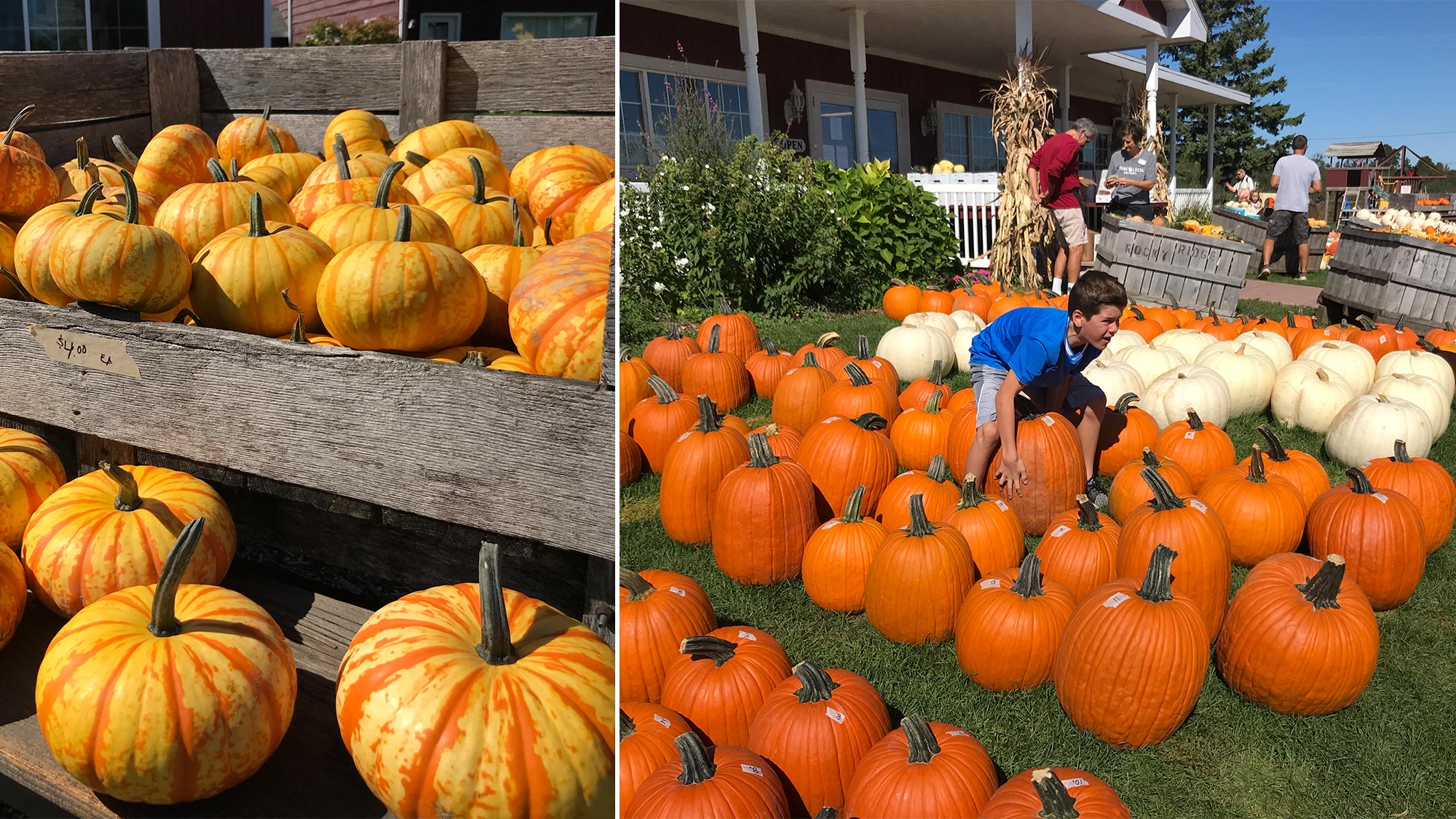 Door County Fall Festivals — The Ultimate Guide Door County Mom