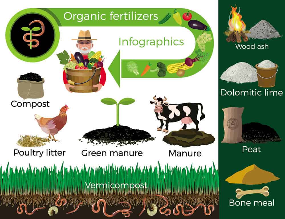 Agriculture And Fertilizers An Overview Types And Its Uses | Hot Sex ...