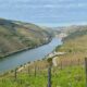 Terraces, Soil Conservation, and the Douro Region of Portugal