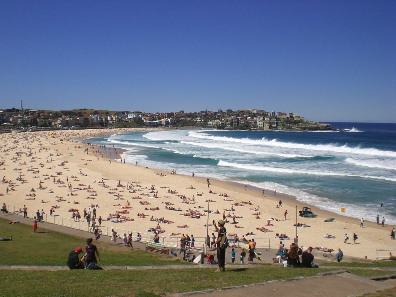 Bondi Beach