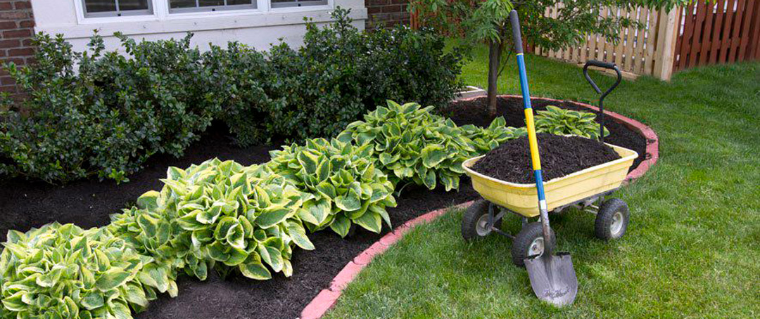 Yard by Dracut Landscaping