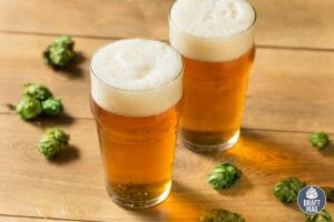 Ipa vs Beer what to choose