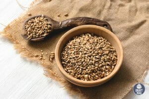 Special B Malt Guide what to expect