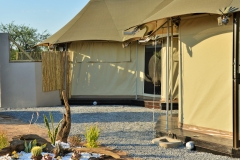 TENT-42