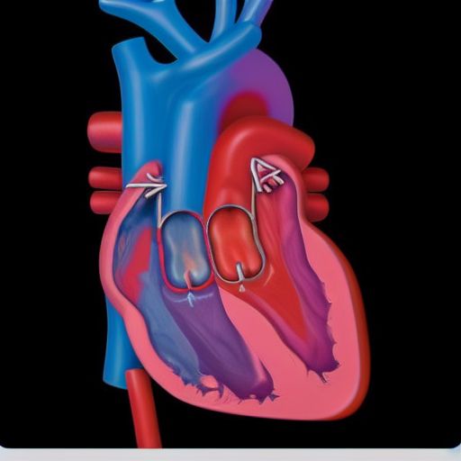 Fetal Echocardiography - Doç. Dr. Halis ÖZDEMİR | Konya Kadın Doğum ...