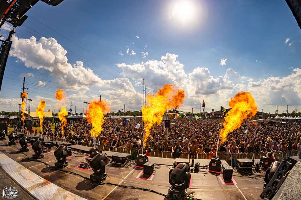 A crowd of people watching fire breathing flames.