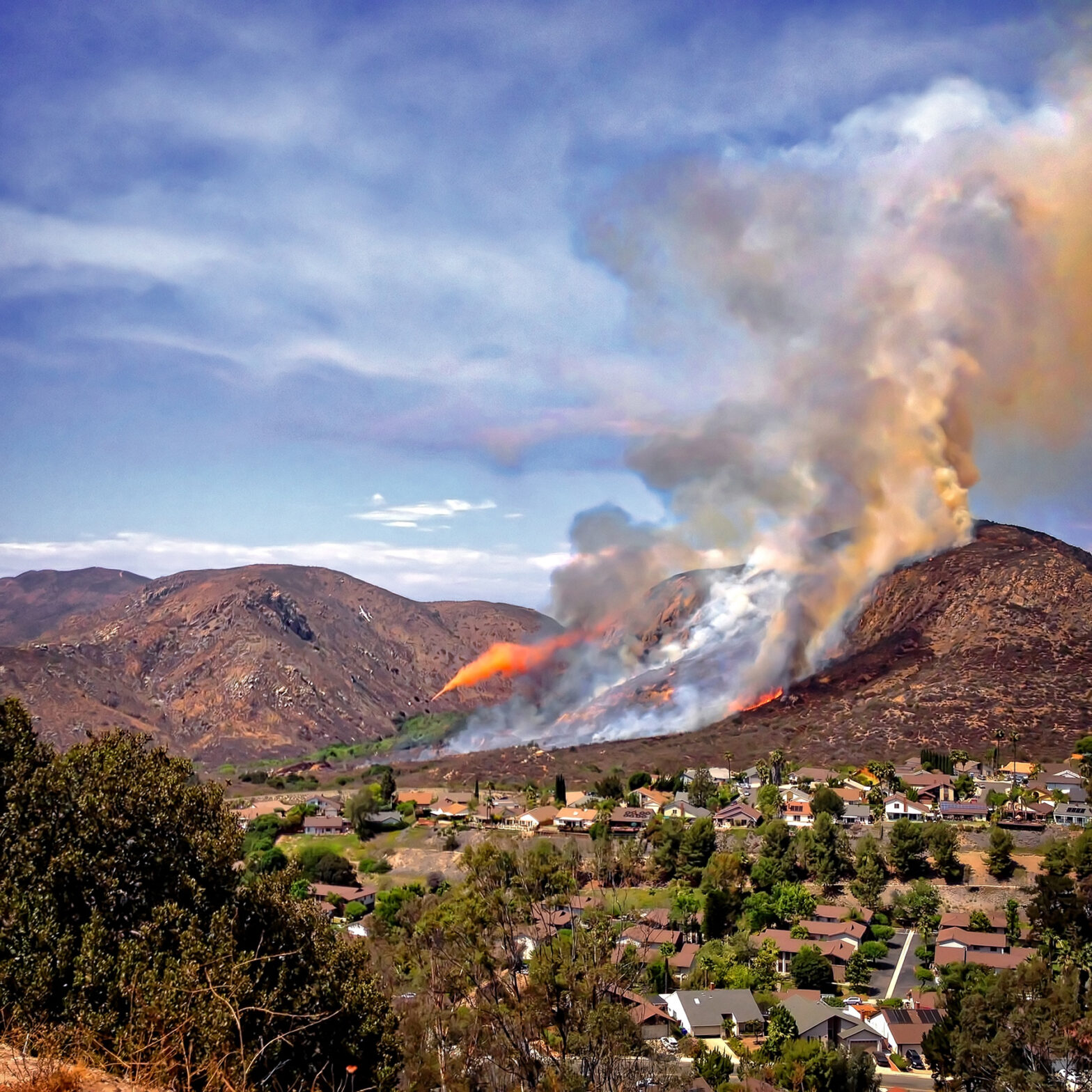 Strategizing Business Resilience