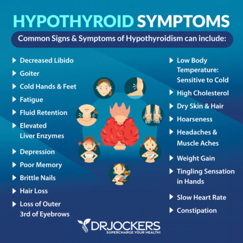 The Hypothyroidism Nutrition Plan - DrJockers.com