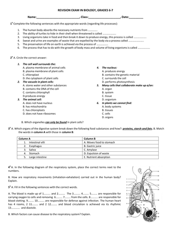 Revision Exam: Biology II | Teaching Resources