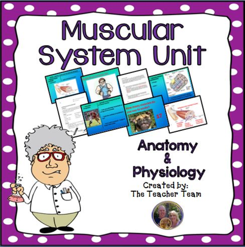 Muscular System Unit | Teaching Resources