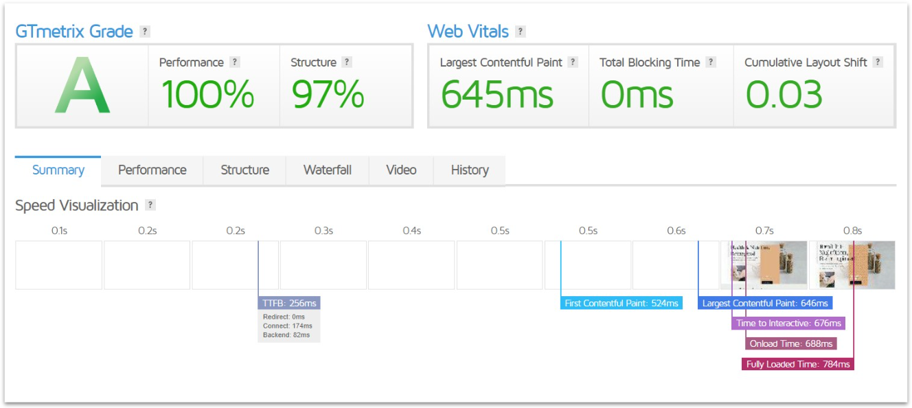 IONOS's GTmetrix test results