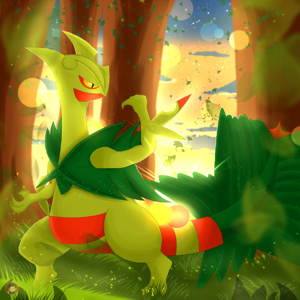 Pokemon Sceptile Wallpaper