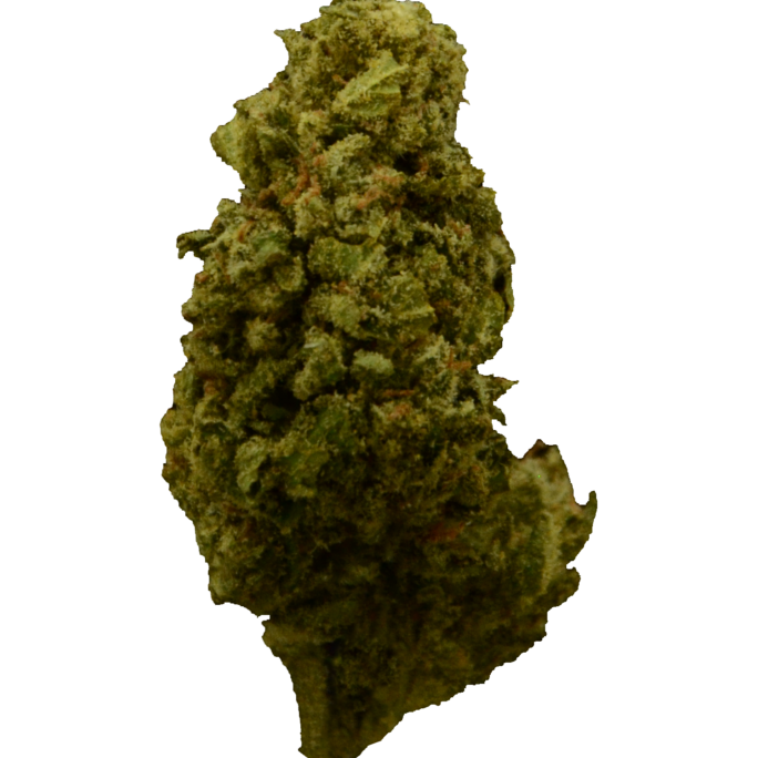 Jack-Herer