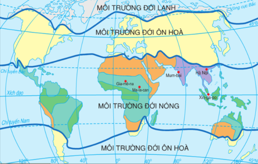 Kiểu môi trường nào sau đây không thuộc đới nóng? Đặc điểm đới nóng