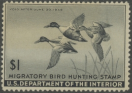 Scan of RW12 1945 Duck Stamp  MNH F-VF