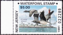 Scan of 1991 New Jersey Duck Stamp Brandt Error MNH VF