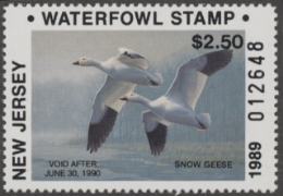 Scan of 1989 New Jersey Duck Stamp MNH VF