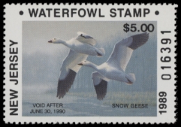 Scan of 1989 New Jersey NR Duck Stamp MNH VF