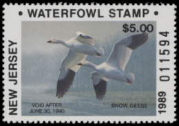 Scan of 1989 New Jersey NR Duck Stamp