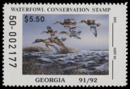 Scan of 1991 Georgia Duck Stamp