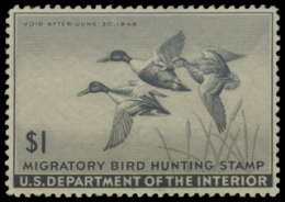 Scan of RW12 1945 Duck Stamp 