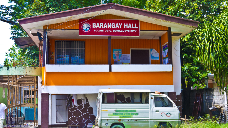 Santo Nino Marikina Barangay Hall Local Government Office Province | My ...