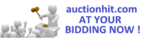 Auction Hit LLC