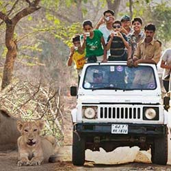 Jeep Safari in Junagadh in Junagadh