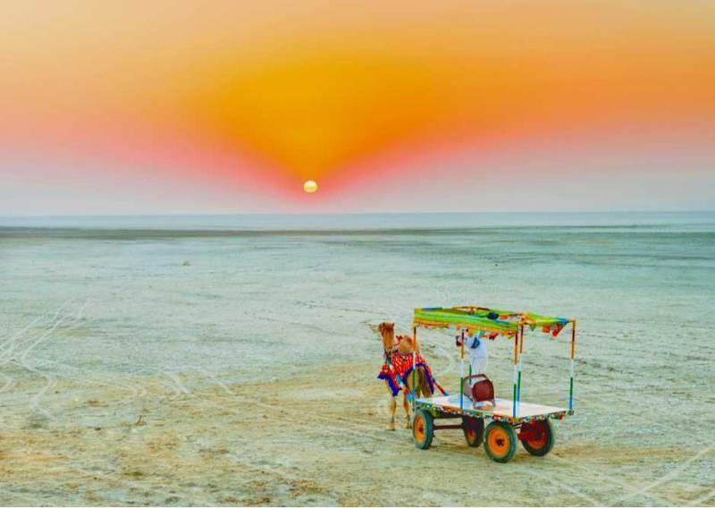 Best Of Kutch -gujrat  Tour - 8 Days - 7 Nights