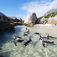 Scenic South Africa with Kwantu Tour