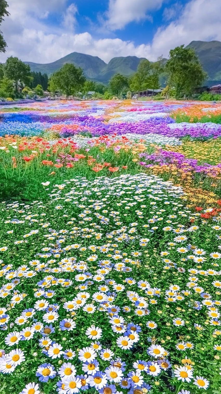 Beautiful Flower Garden Images Wallpaper - Infoupdate.org