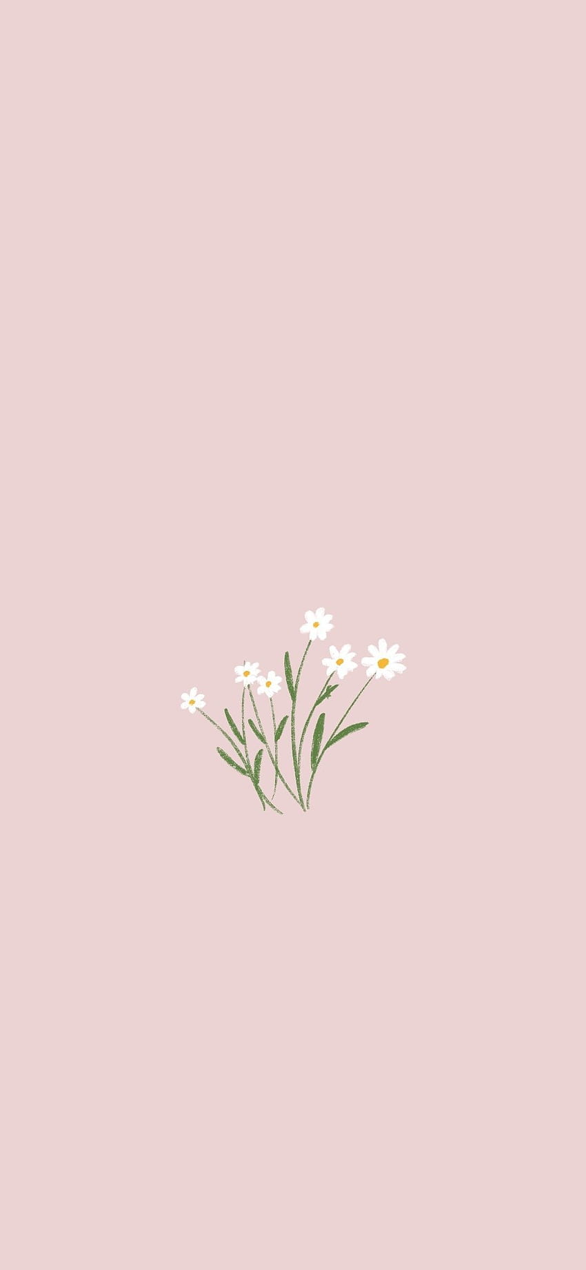 Flowers. iPhone plants, Minimalist phone, Floral iphone HD phone ...