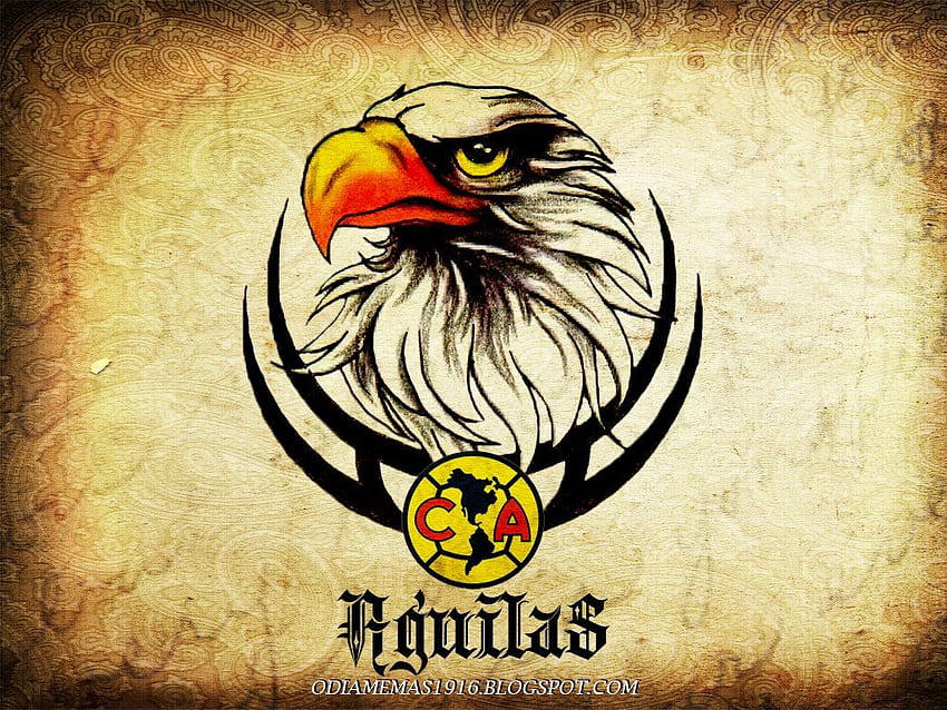 Club America HD wallpaper | Pxfuel