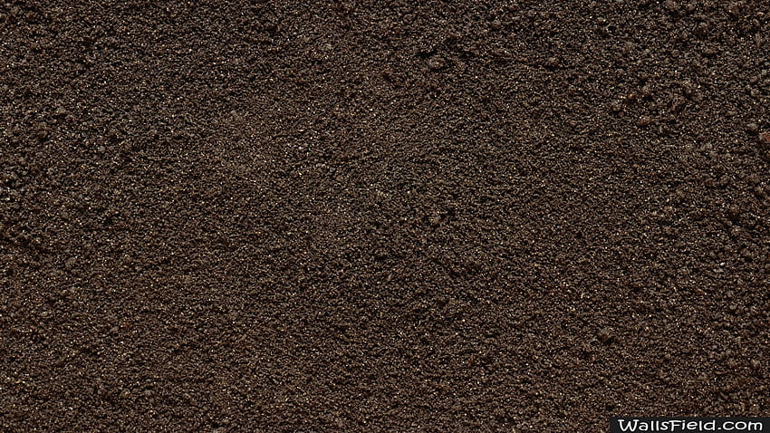 Soil HD wallpapers | Pxfuel