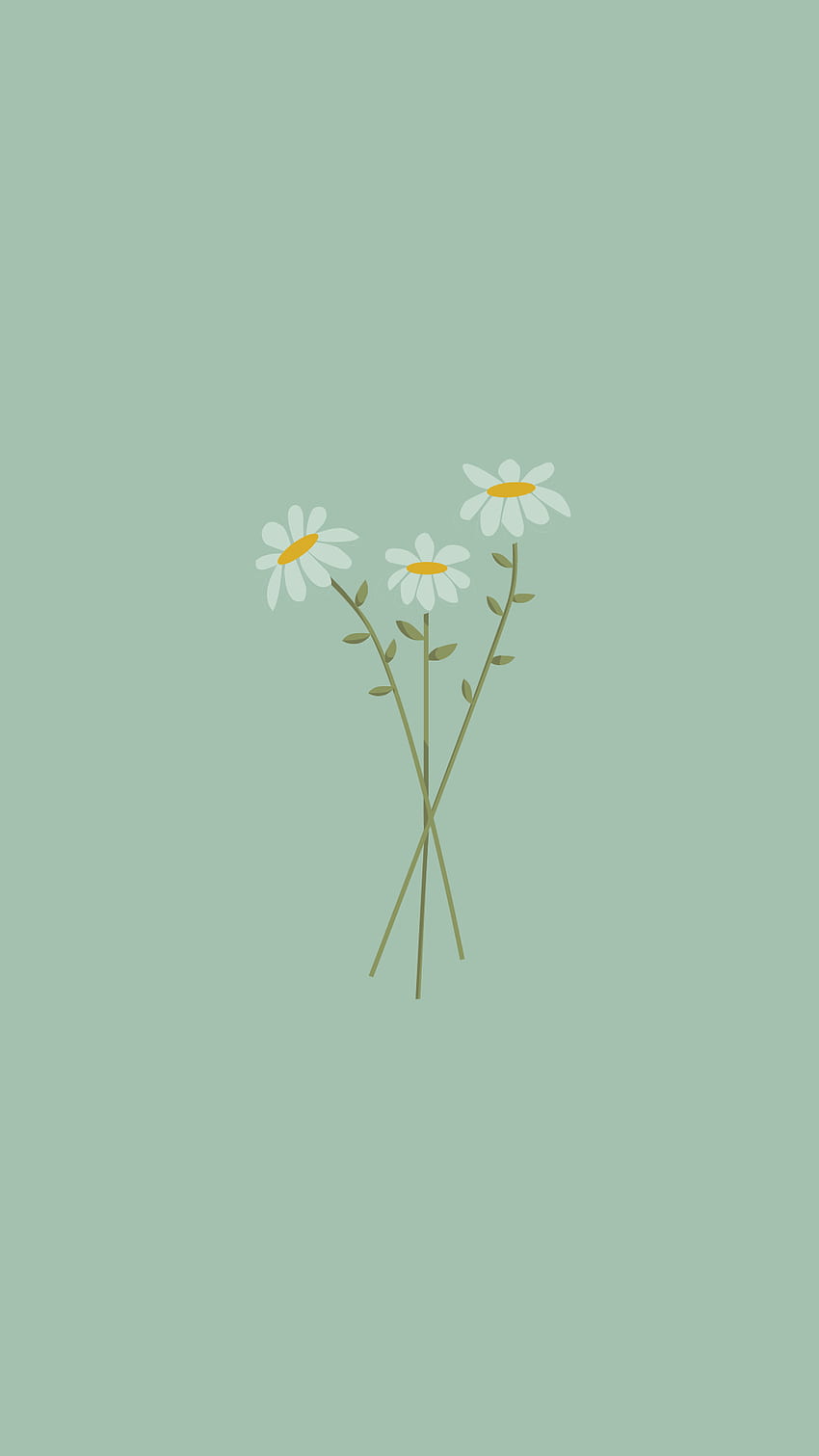 Daisy, calm, art, flowers, green, petal, nature, peace, freshness HD ...