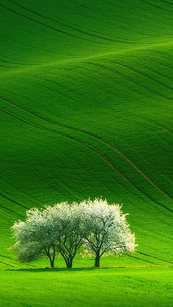 Beautiful Nature Scenery Hd Wallpaper For Mobile Free - Infoupdate.org