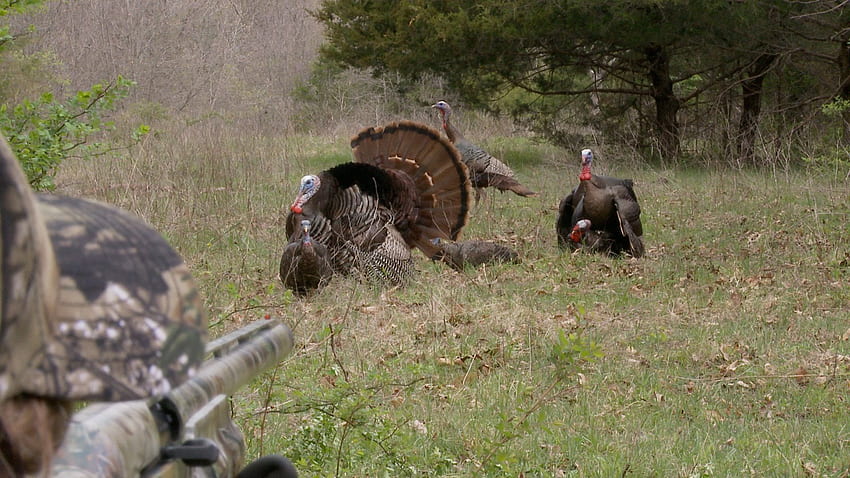 Realtree Turkey Hunting Wallpaper