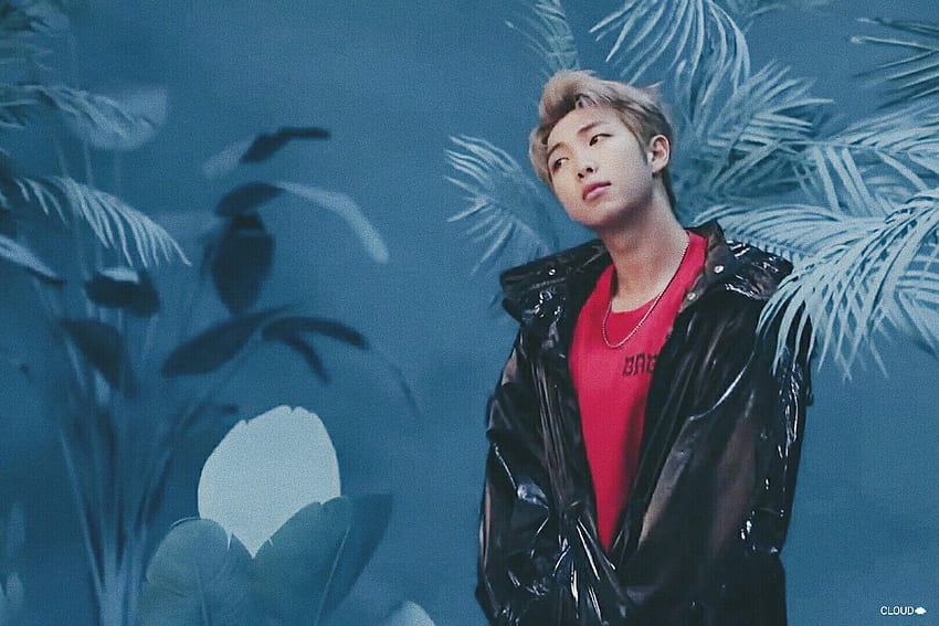 BTS RM - トップ 45 BTS RM 背景、Namjoon 美学 高画質の壁紙