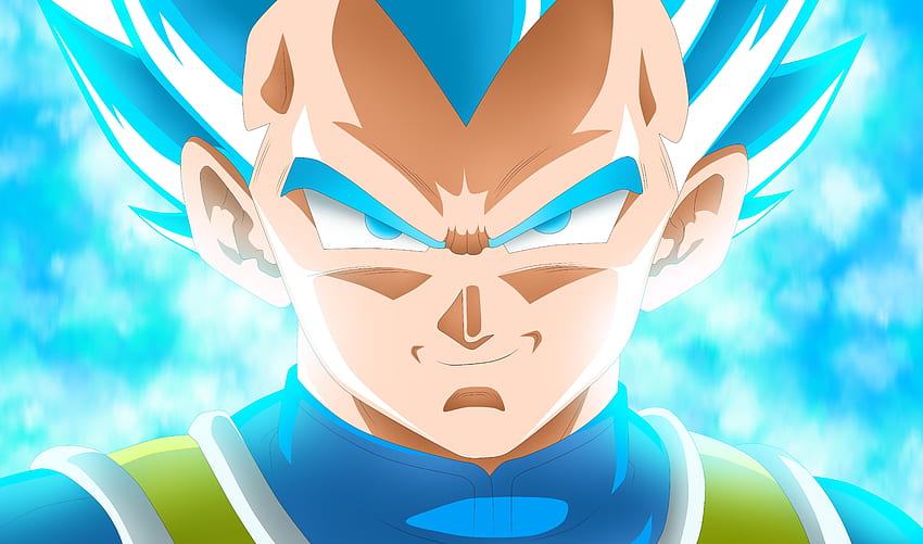 Vegeta, dragon ball super, smirk HD wallpaper