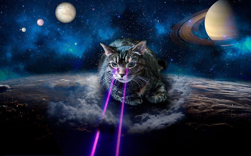 Colorful Space Cat Wallpaper 4K