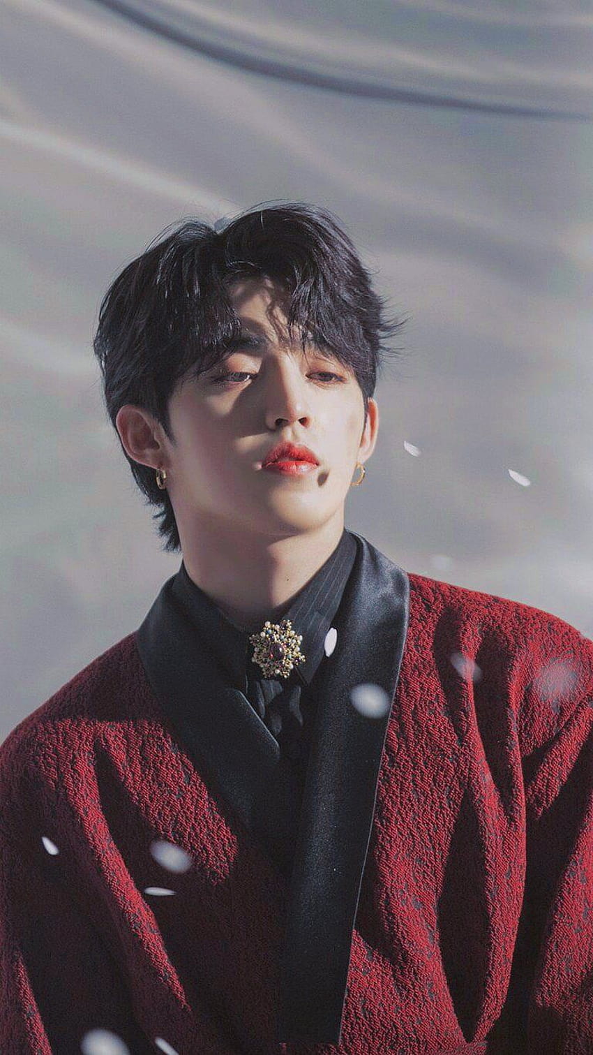 Scoups / HD phone wallpaper