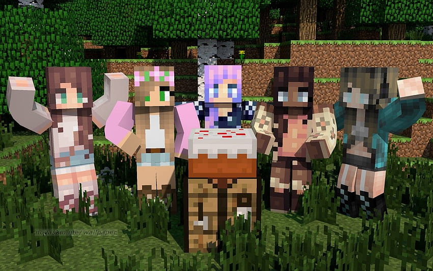 Minecraft Girl, girl minecraft skins HD wallpaper