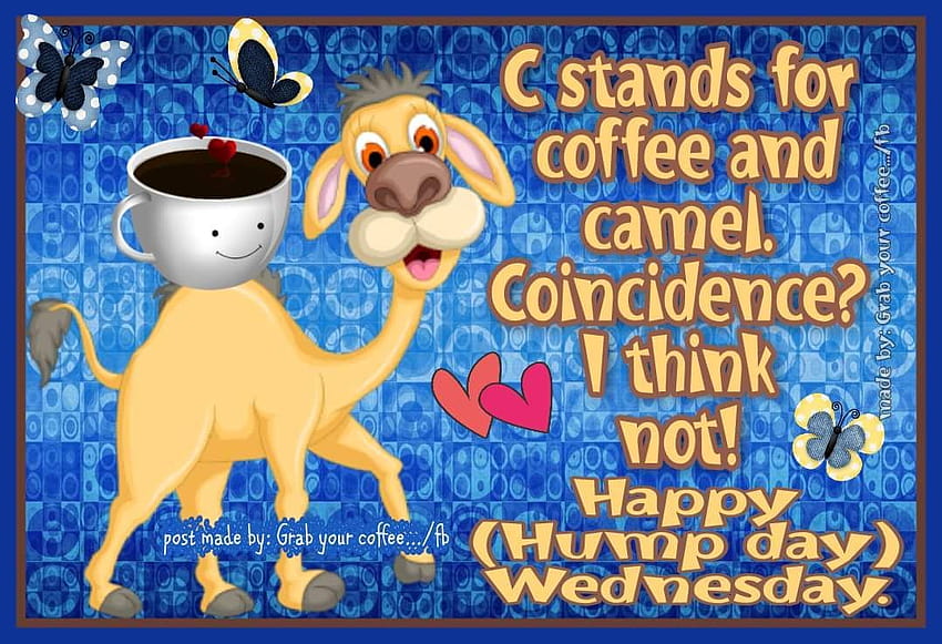 Happy Hump Day Wednesday HD wallpaper