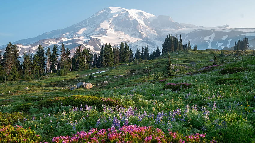 USA Mount Rainier National Park Nature 2560x1440, mount rainier np HD wallpaper