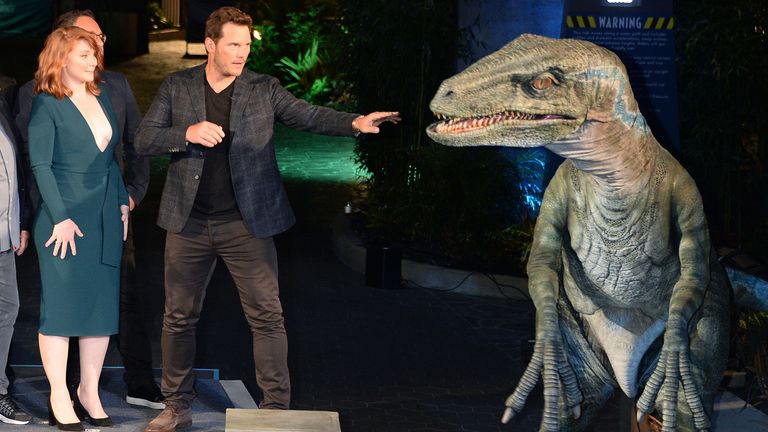 Stars Chris Pratt and Bryce Dallas Howard.at the opening of Jurassic World - The Ride at Universal Studios in Hollywood in 2019