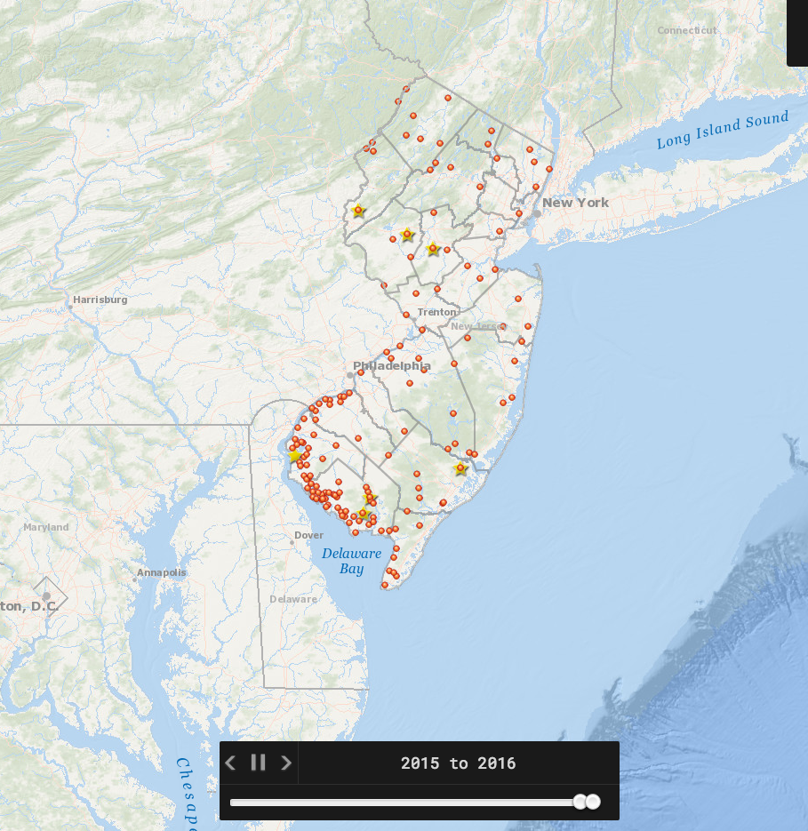 Bald Eagle Decline & Recovery | American Eagle Foundation